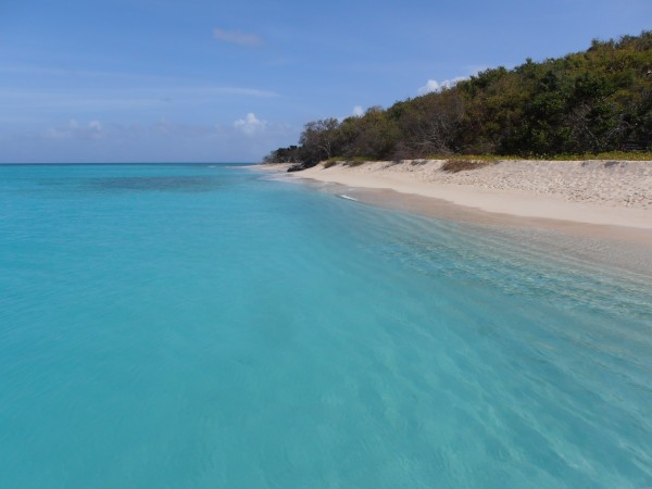 The beautiful white beaches and turquoise water off Buck Island, St Croix – photo Sue Pelling