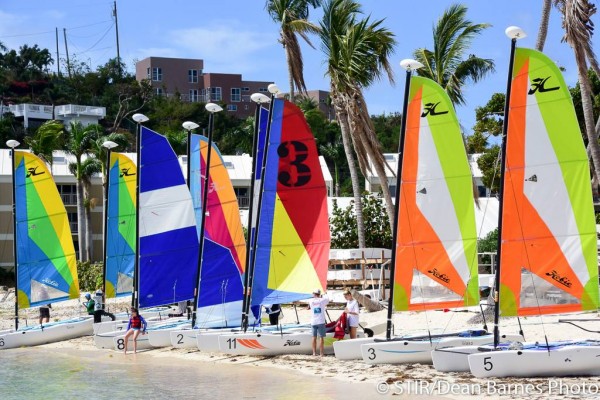 The new Hobie Wave fleet at St Thomas International Regatta – photo Dean Barnes/STIR