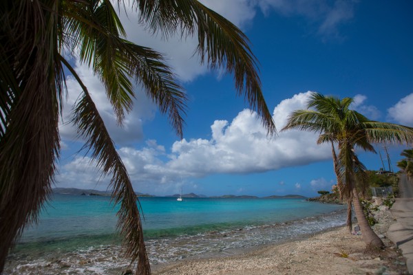 The stunning island of St John post hurricane – photo USVI Department of Tourism 