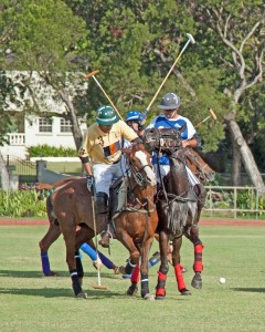 polo